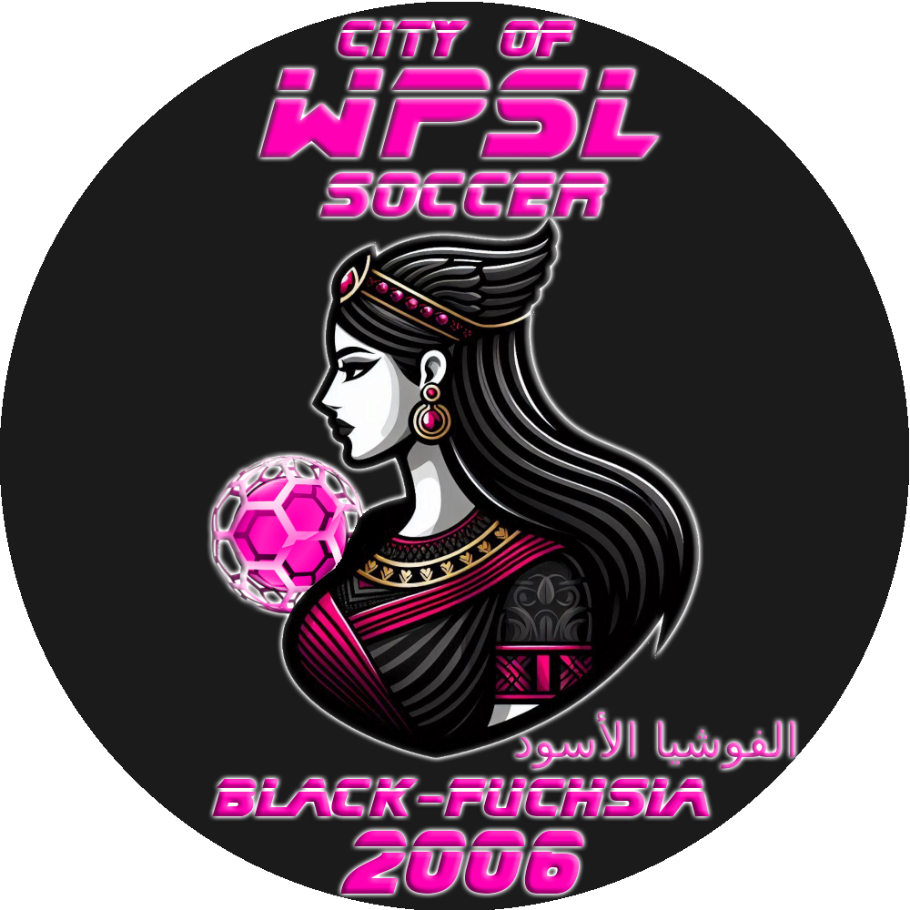 wpslol city soccer logo
